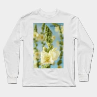 Verbascum x hybridum &#39;Snow Maiden&#39; Mullein Long Sleeve T-Shirt